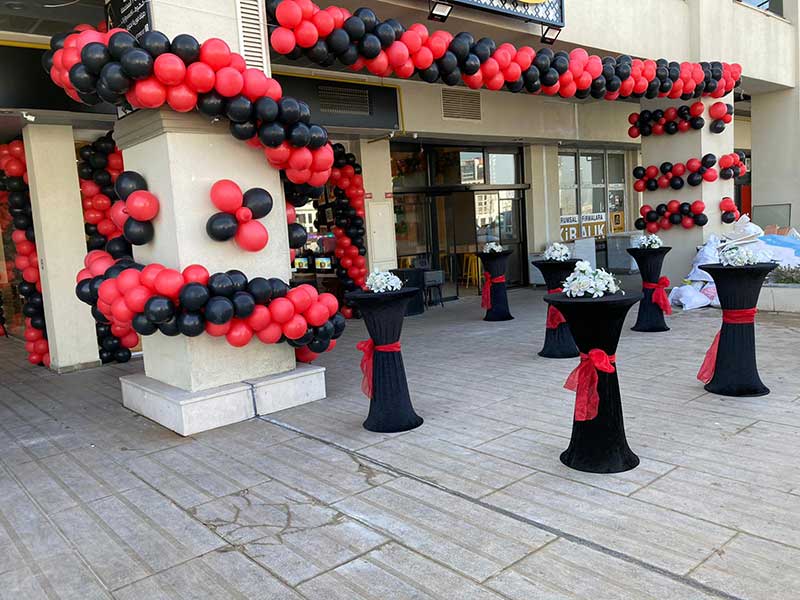 Açılış Organizasyonu