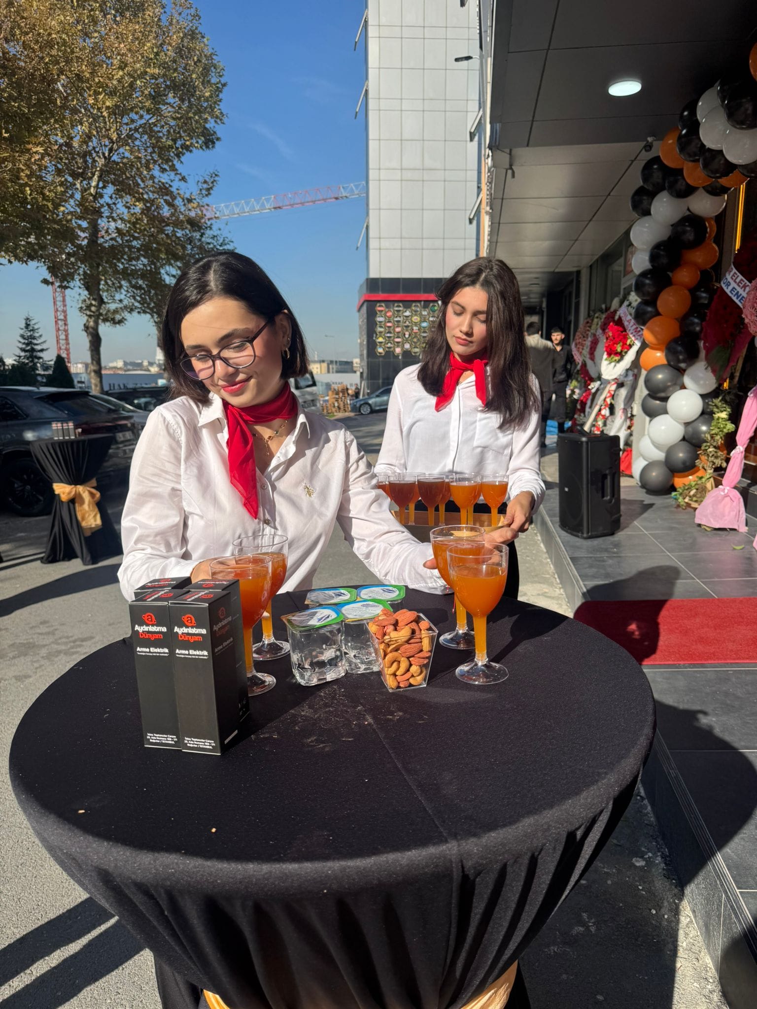 Host Hostes Organizasyon Hizmeti